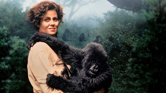 Gorillas im Nebel – Die Geschichte der Dian Fossey - Werbefoto