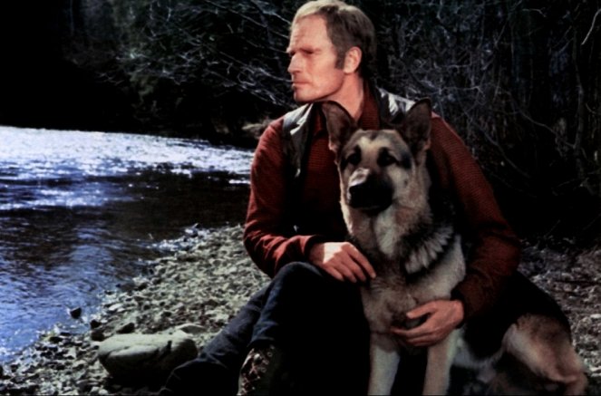 L'Appel de la forêt - Film - Charlton Heston