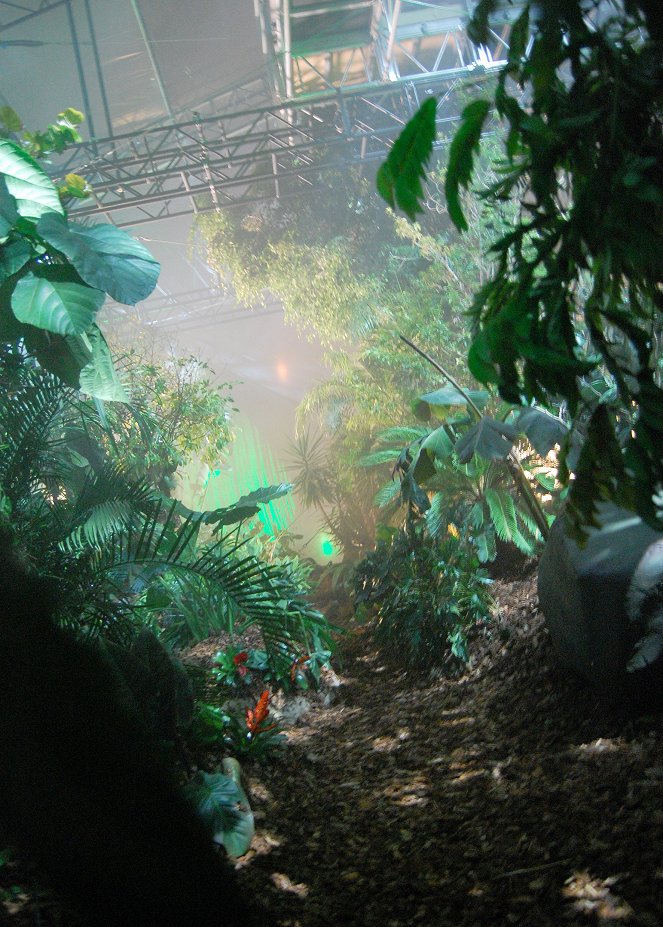 Střešní deštný prales - Z filmu