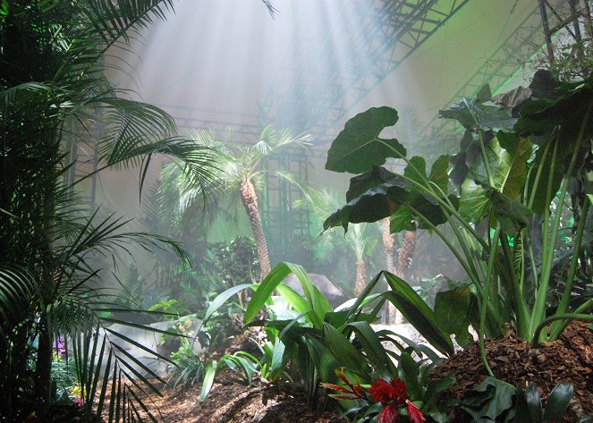 Střešní deštný prales - Z filmu