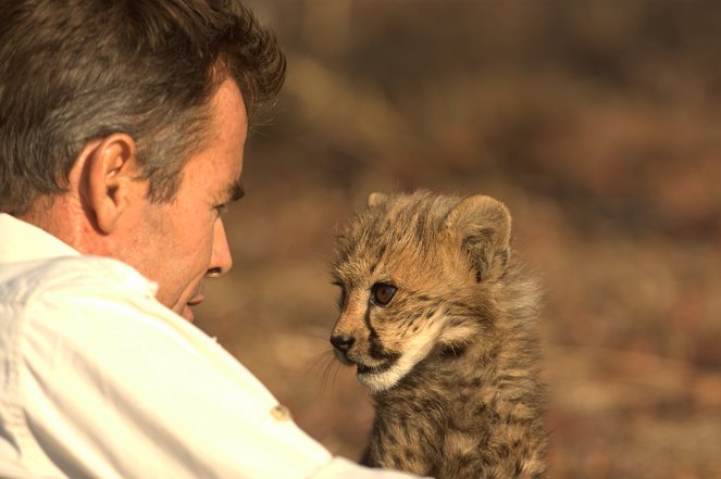 Man, Cheetah, Wild - Filmfotók