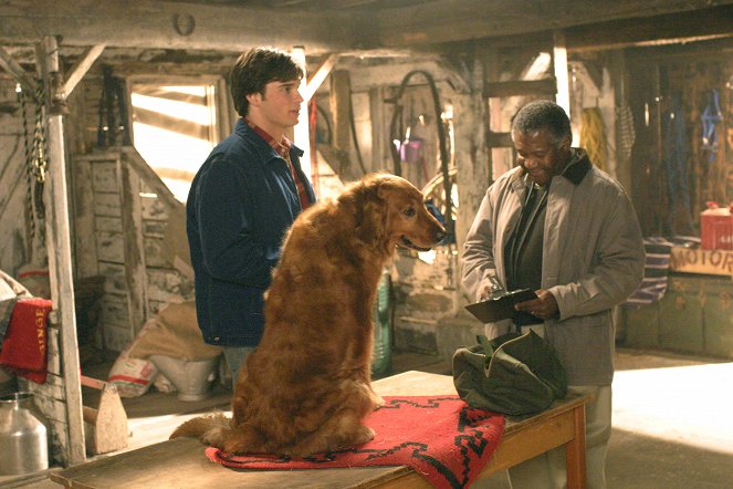 Smallville - Entre chien et loup - Film - Tom Welling