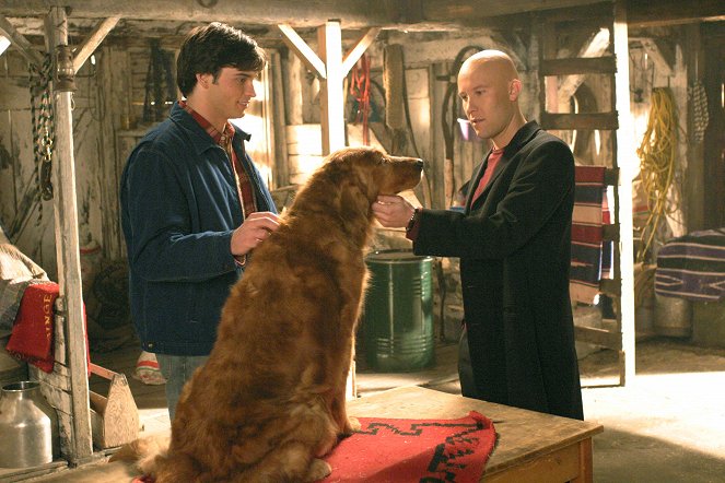 Smallville - Entre chien et loup - Film - Tom Welling, Michael Rosenbaum