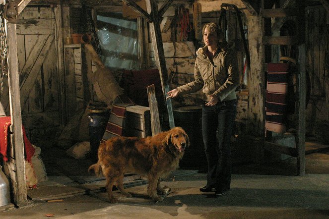 Tajemnice Smallville - Krypta - Z filmu - Erica Durance