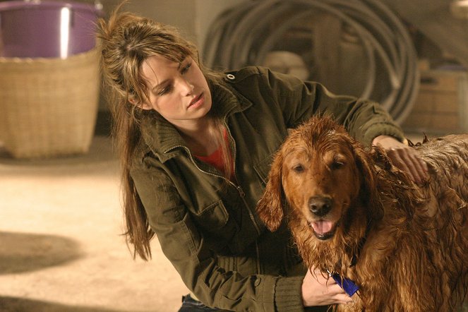 Smallville - Entre chien et loup - Film - Erica Durance