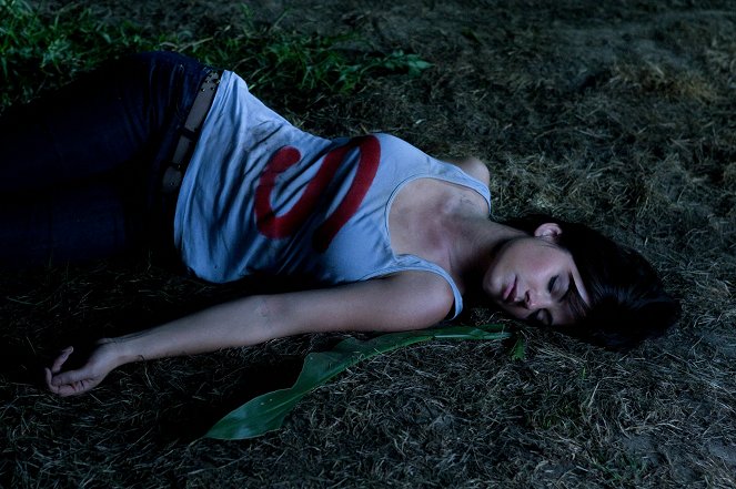 Smallville - Season 10 - Lazarus - Van film - Erica Durance