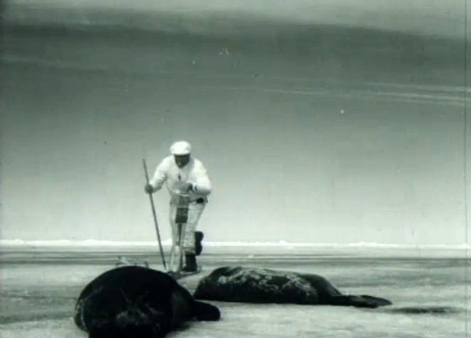 Seal Hunters of the Gulf of Bothnia - Photos