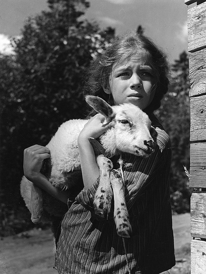 La Petite Ilona et son agneau - Film - Riitta Hämäläinen