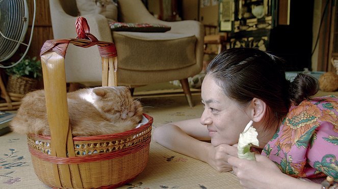 Bérelj cicát! - Filmfotók - Mikako Ichikawa