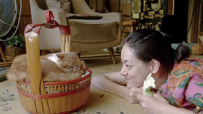 Rent-a-Cat - Photos - Mikako Ichikawa