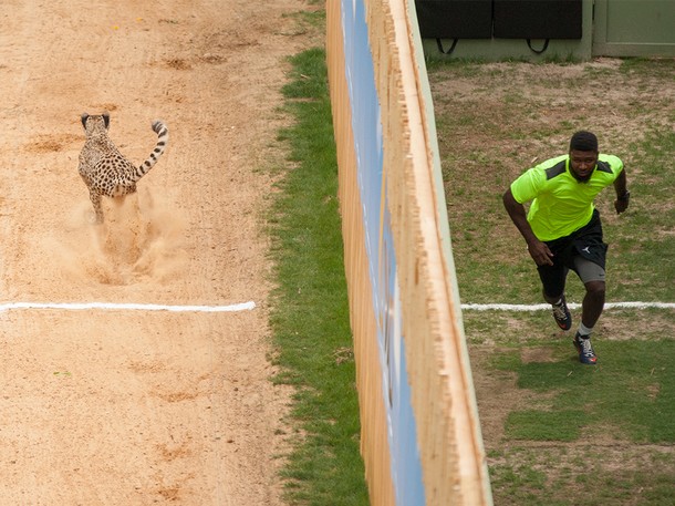 Man vs. Cheetah - Photos