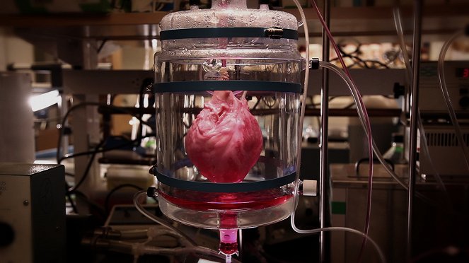 Jak vyrobit tlukoucí srdce - Z filmu