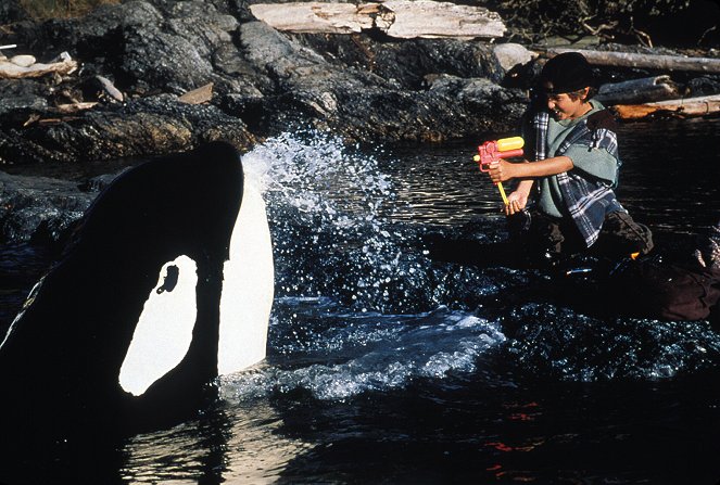 Free Willy 2 : The Adventure Home - Film - Francis Capra