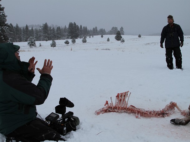 Pumák a farkasok ellen - Filmfotók