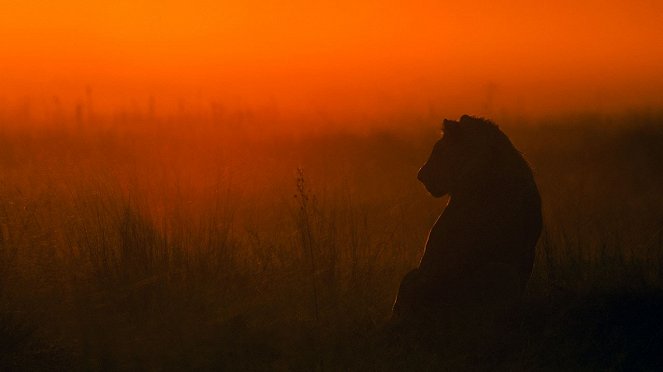 Kampf der Löwenkönige - Filmfotos