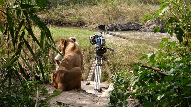 Lights, Camera, Lions! - Film