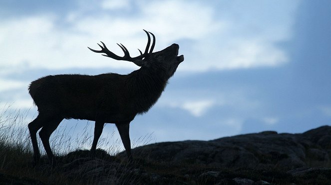 Wild Scotland: The Western Isles - Film