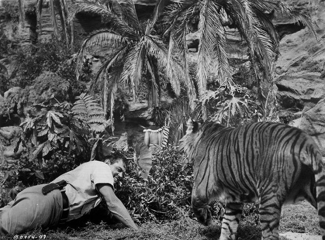 Viidakko-Jim ja kuoleman laguuni - Kuvat elokuvasta - Johnny Weissmuller