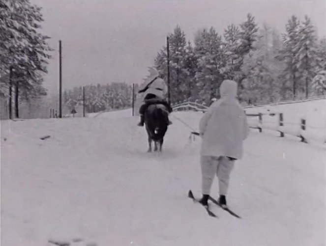 Puolustusvoimain uutiskatsaus - Z filmu