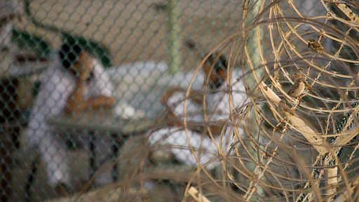Pohled zevnitř: Tajemství Guantanama - Z filmu