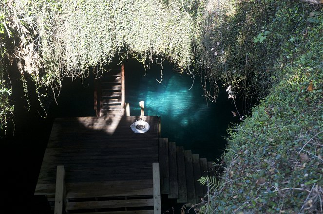 Sinkholes: Swallowed Alive - Photos