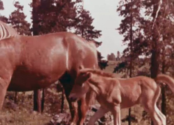 The Story of Finnish Milk - Photos