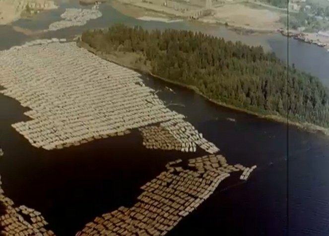 Finns Know Their Wood, The - De la película