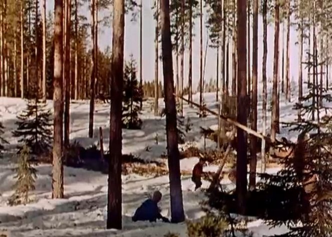 Finns Know Their Wood, The - Van film