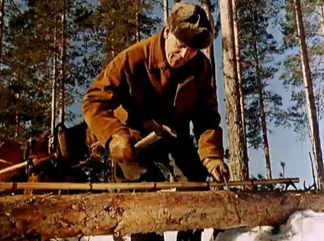Finns Know Their Wood, The - Film
