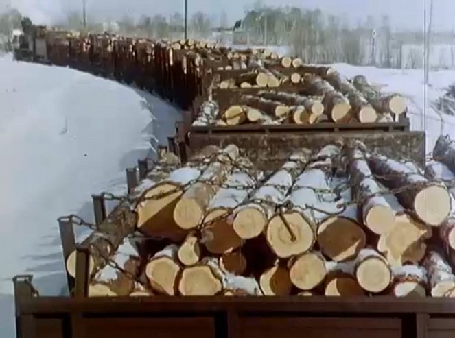 Finns Know Their Wood, The - Film