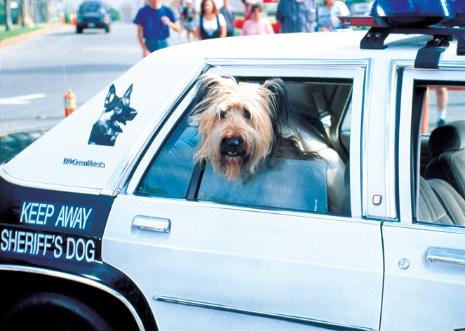 Top Dog, el perro sargento - De la película - Betty