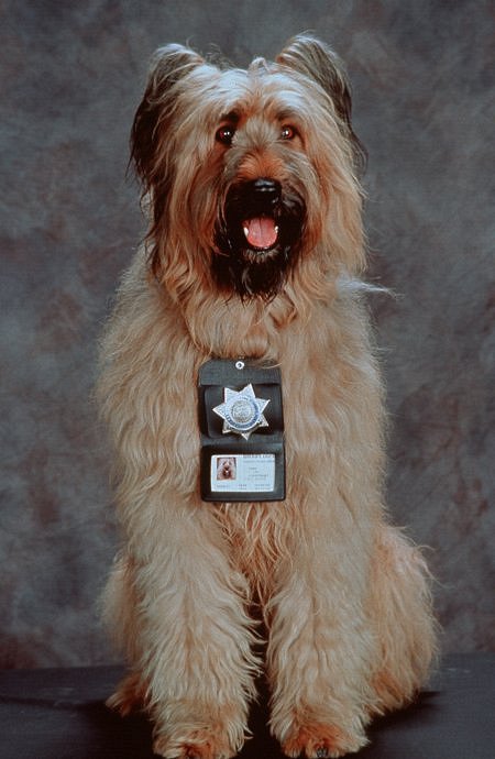 Top Dog, el perro sargento - Promoción - Betty