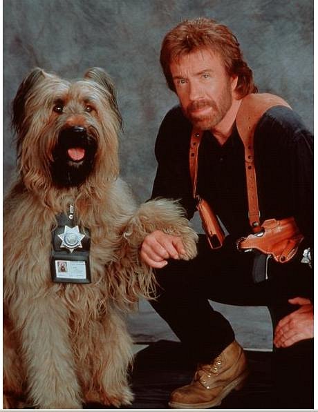 Szuperhekus kutyabőrben - Promóció fotók - Betty, Chuck Norris
