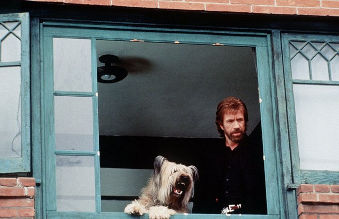 Top Dog, el perro sargento - De la película - Betty, Chuck Norris