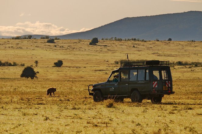 Universum: Hyänen - Königinnen der Masai Mara - De la película
