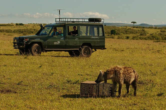 Universum: Hyänen - Königinnen der Masai Mara - Z filmu