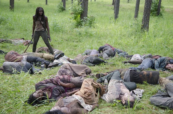 The Walking Dead - Depois - Do filme - Danai Gurira