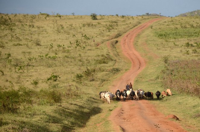 Na cestě - Na cestě po severní Ugandě - Van film
