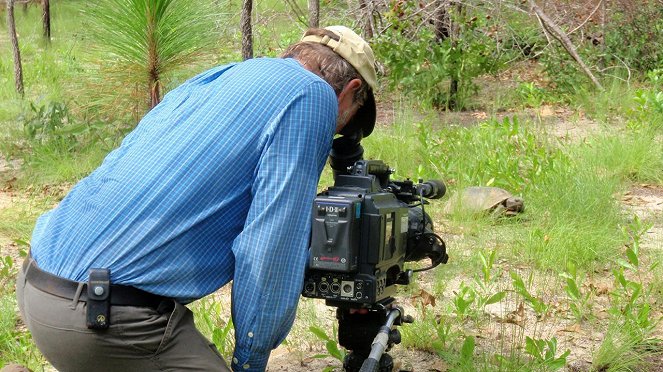 Wild Swamplands - De filmagens