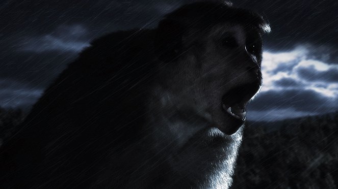 Sötét napok a Majmok Városában - Filmfotók