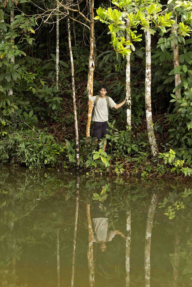 A Floresta de Jonathas - Photos