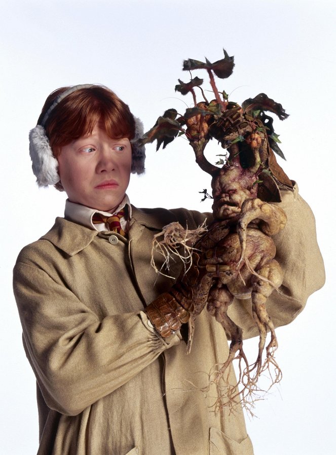 Harry Potter und die Kammer des Schreckens - Werbefoto - Rupert Grint