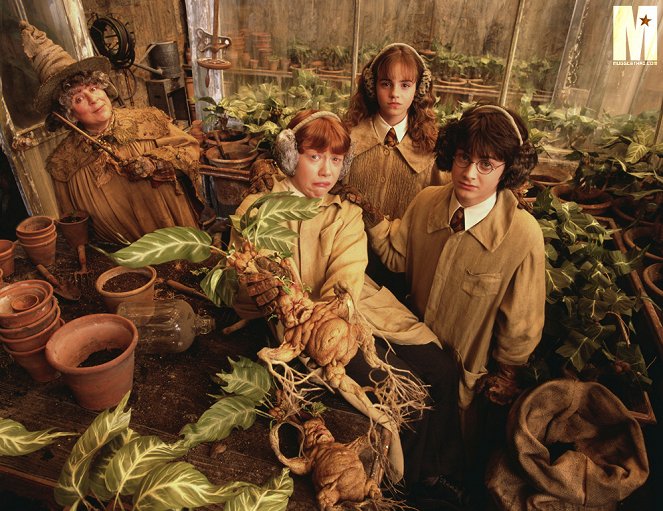 Harry Potter ja salaisuuksien kammio - Promokuvat - Miriam Margolyes, Rupert Grint, Emma Watson, Daniel Radcliffe