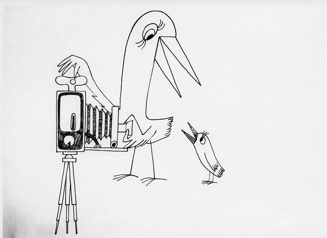 Ptáci Koháci - Van film