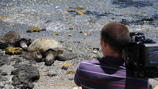 Wild Hawaii - Photos