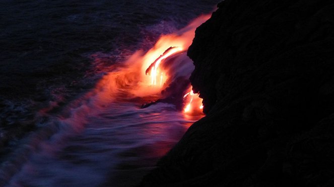 Wild Hawaii - Photos