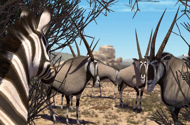 Koemba: De zebra die zijn strepen kwijt is - Van film