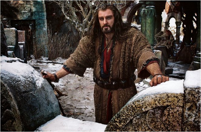 The Hobbit: The Desolation of Smaug - Van film - Richard Armitage