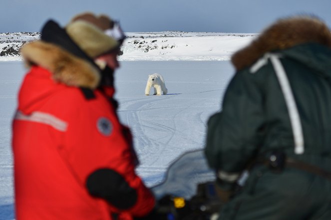 Unter Bären - Überleben in der Arktis - Filmfotos