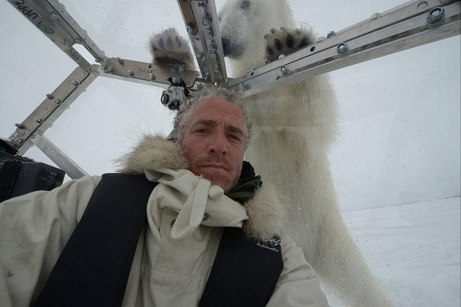 The Polar Bear Family and Me - Promóció fotók - Gordon Buchanan
